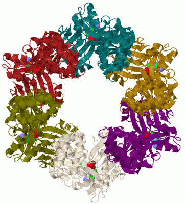 Image Biol.Unit 1 - manually