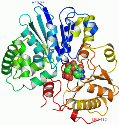 Image Asym./Biol. Unit - manually