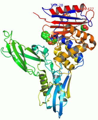 Image Asym./Biol. Unit - manually