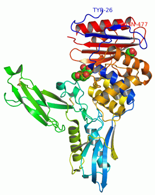 Image Asym./Biol. Unit - manually