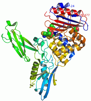 Image Asym./Biol. Unit - manually