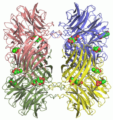 Image Asym./Biol. Unit - manually