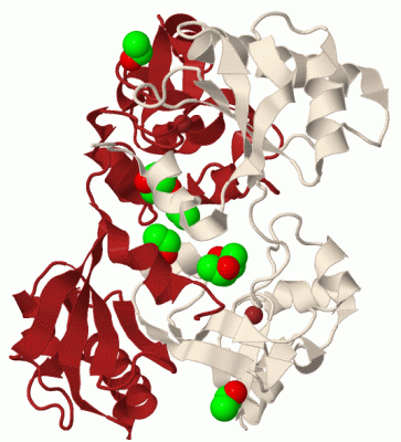 Image Biol.Unit 1 - manually