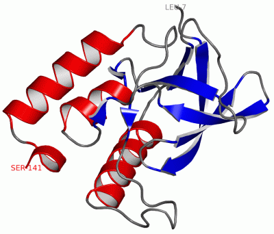 Image Asym./Biol. Unit - manually