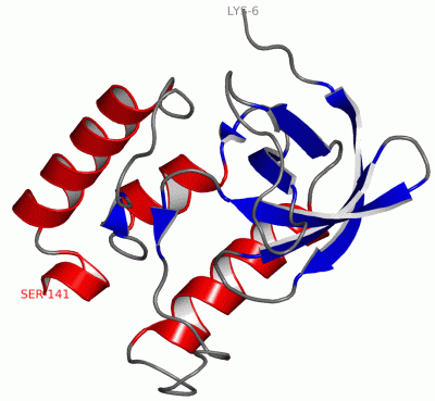 Image Asym./Biol. Unit - manually