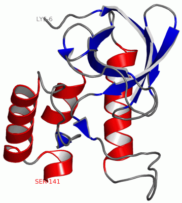 Image Asym./Biol. Unit - manually