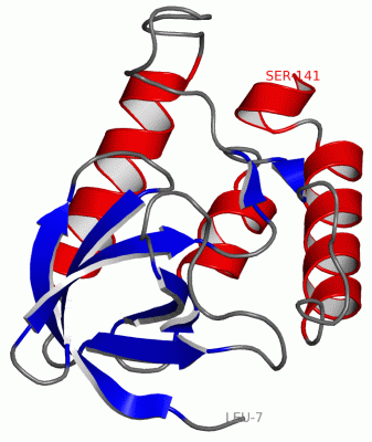 Image Asym./Biol. Unit - manually