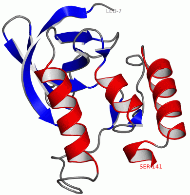 Image Asym./Biol. Unit - manually