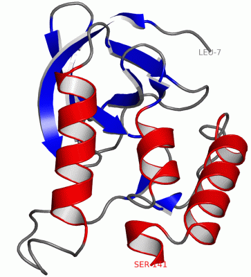 Image Asym./Biol. Unit - manually