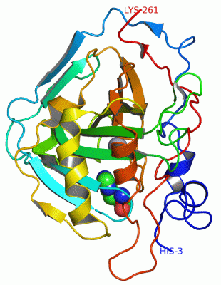 Image Asym./Biol. Unit - manually