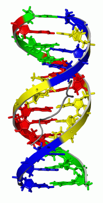 Image NMR Structure - manually