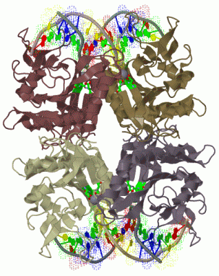 Image Biol.Unit 1 - manually