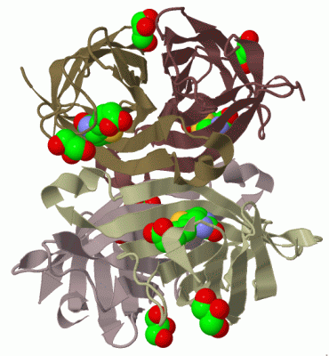 Image Biol.Unit 1 - manually