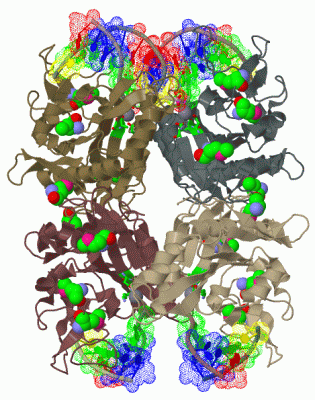 Image Biol.Unit 1 - manually