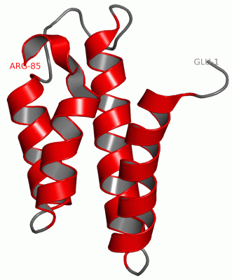 Image NMR Structure - manually