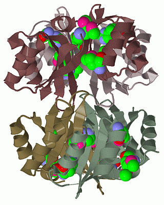 Image Biol.Unit 1 - manually