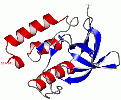 Image Asym./Biol. Unit - manually