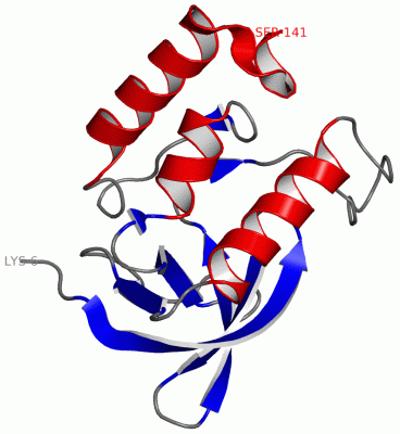 Image Asym./Biol. Unit - manually