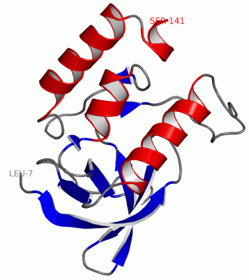 Image Asym./Biol. Unit - manually