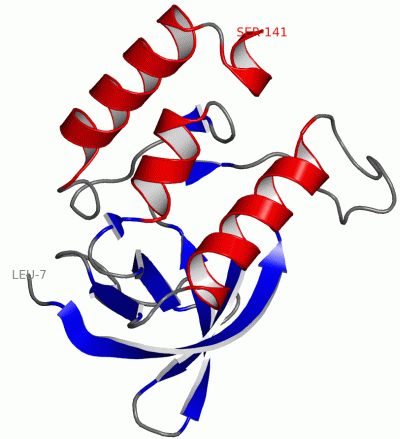 Image Asym./Biol. Unit - manually