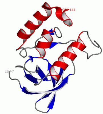 Image Asym./Biol. Unit - manually