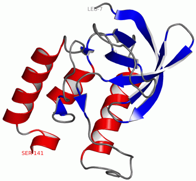 Image Asym./Biol. Unit - manually