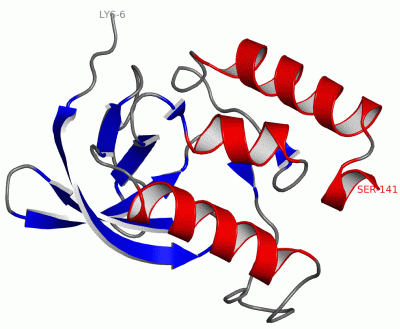 Image Asym./Biol. Unit - manually