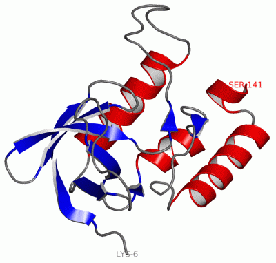 Image Asym./Biol. Unit - manually