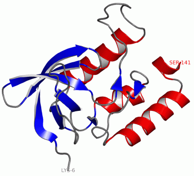 Image Asym./Biol. Unit - manually