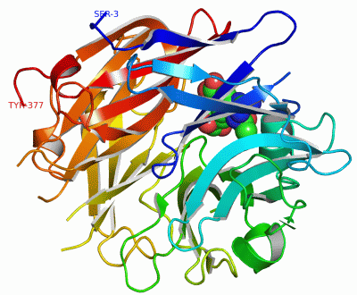 Image Asym./Biol. Unit - manually