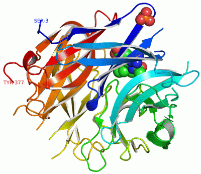 Image Asym./Biol. Unit - manually