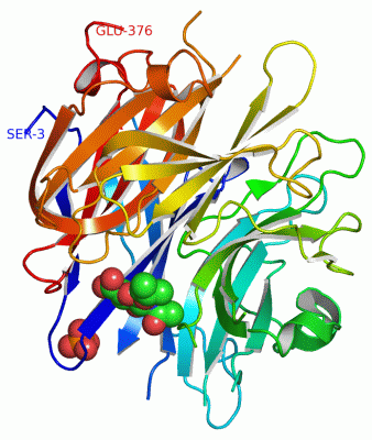 Image Asym./Biol. Unit - manually