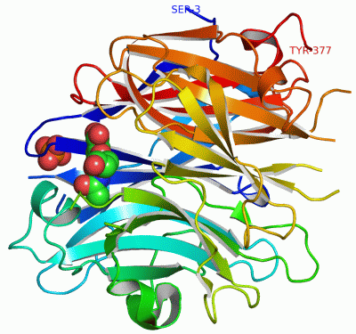 Image Asym./Biol. Unit - manually