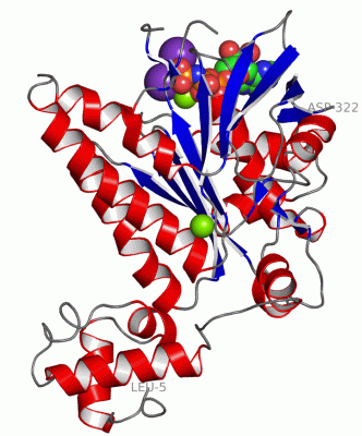 Image Asym./Biol. Unit - manually