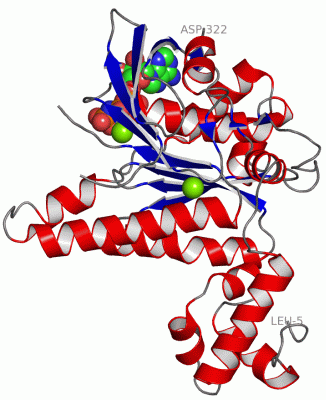 Image Asym./Biol. Unit - manually