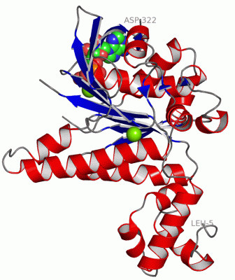 Image Asym./Biol. Unit - manually