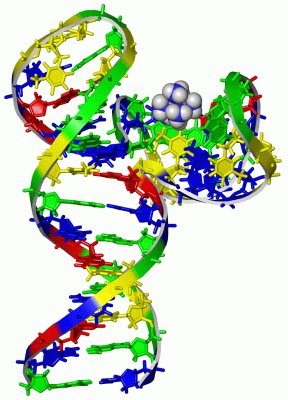 Image NMR Structure - manually