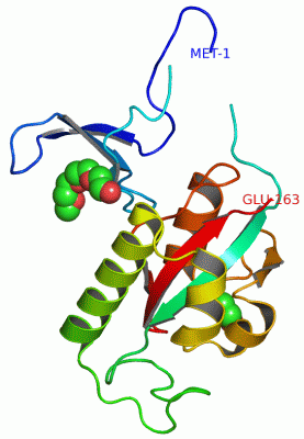 Image Asym./Biol. Unit - manually