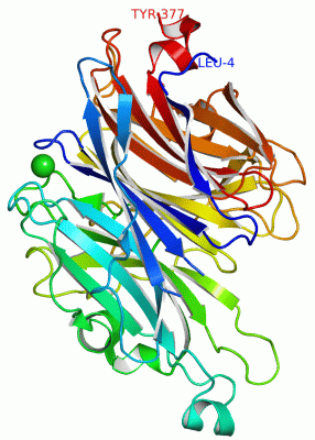 Image Asym./Biol. Unit - manually