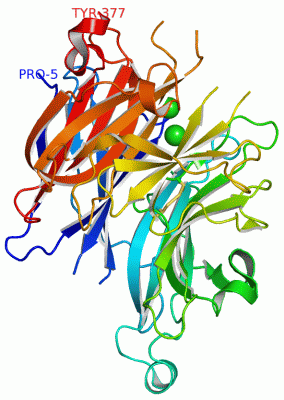 Image Asym./Biol. Unit - manually