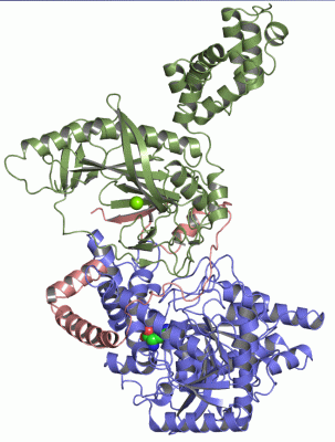 Image Asym./Biol. Unit - manually