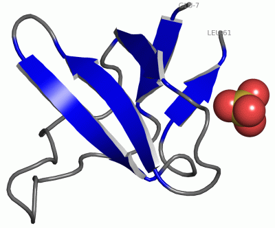 Image Asym./Biol. Unit - manually