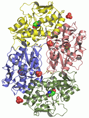 Image Asym./Biol. Unit - manually