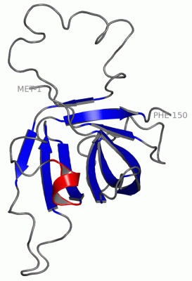 Image NMR Structure - manually