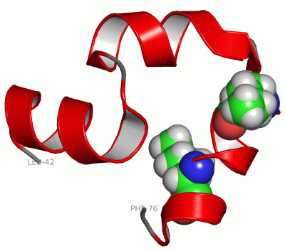 Image Asym./Biol. Unit - manually