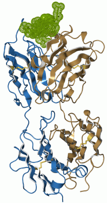 Image Asym./Biol. Unit - manually