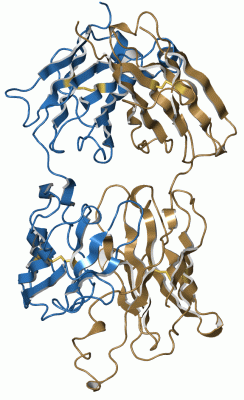 Image Asym./Biol. Unit - manually