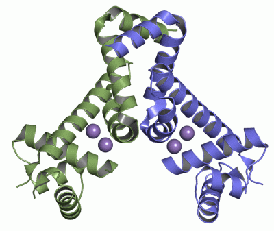 Image Asym./Biol. Unit - manually