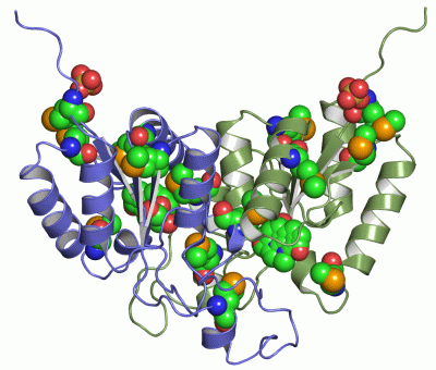 Image Asym./Biol. Unit - manually