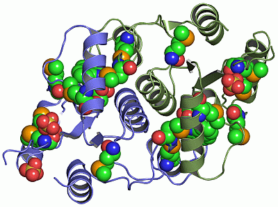 Image Asym./Biol. Unit - manually